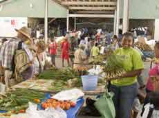 Markttag in Port of Spain